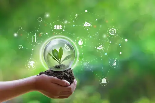 The World's Environmental Problem