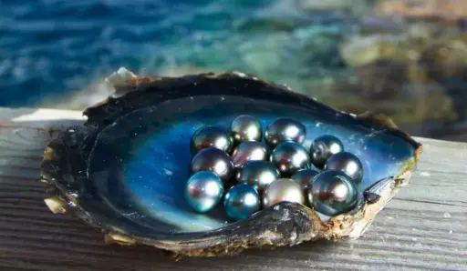 JEWELS FROM THE SEA