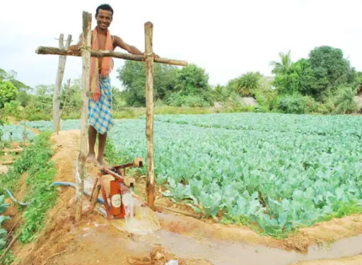 Food Pedal Irrigation