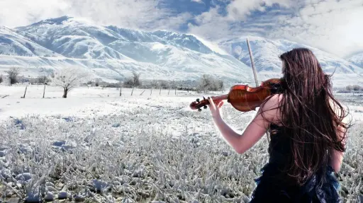 VIOLINS AND VERY COLD WEATHER - A HYPOTHESIS