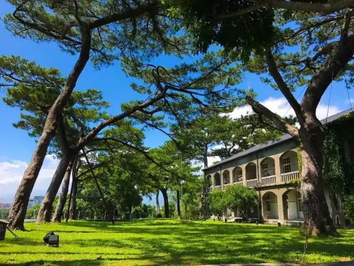 Pine Garden