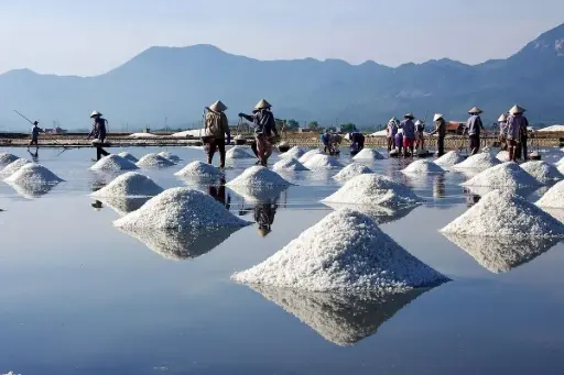 THE EARLY HISTORY OF SALT