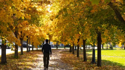 Walking Holiday