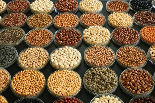 Seed Banks 