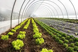 ORGANIC FARMING