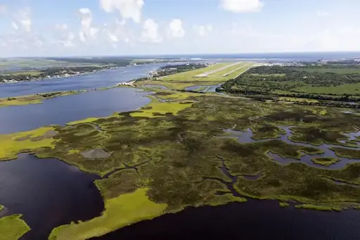 AMERICAN SALT MARSHES