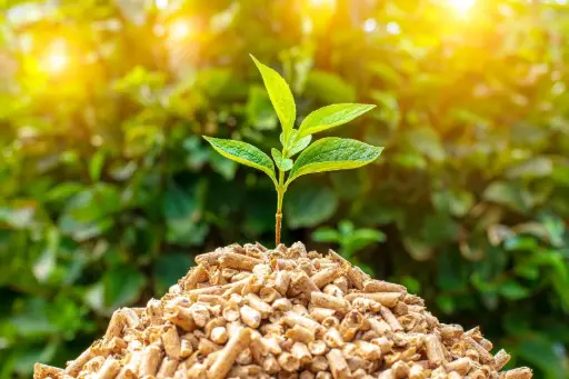 Biomass fuel