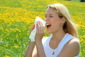 Photic sneezing