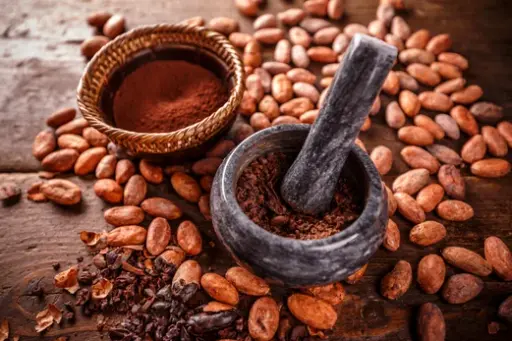 The History of Chocolate