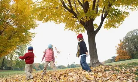 The nature deficit — how children are losing touch with nature 