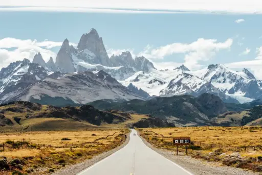 The peopling of Patagonia 
