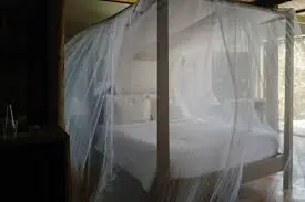 Product development presentation: mosquito net