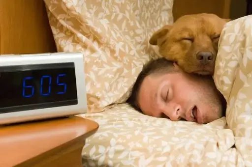 THE ROLE OF SLEEP IN HUMANS AND ANIMALS