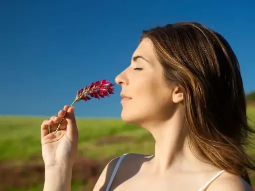 COURSE ON THE SENSE OF SMELL