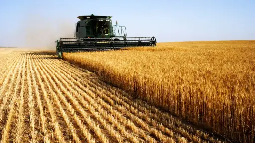 The growth of agriculture