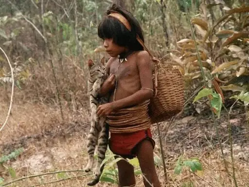 The Pirahã people of Brazil
