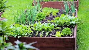 Growing More for Less