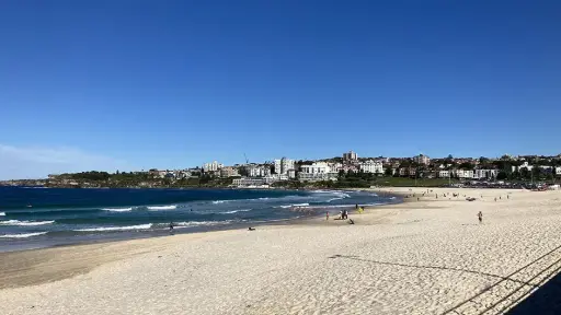 Bondi