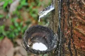 Rubber