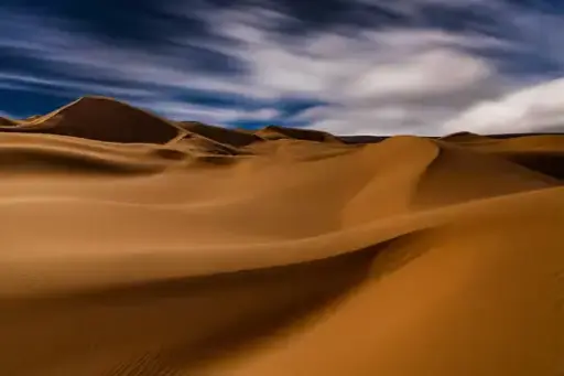 Living Dunes