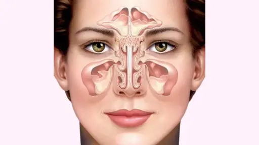 The Power of Smell