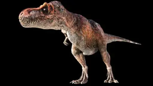 What is a dinosaur? 