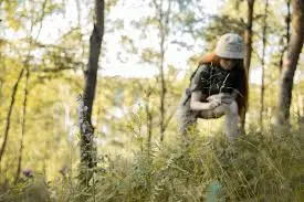 Amateur Naturalists 