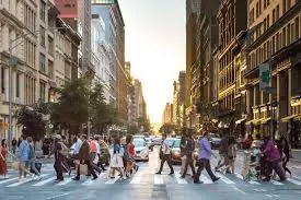 Surviving city life