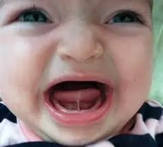Babies cry in their mother tongue