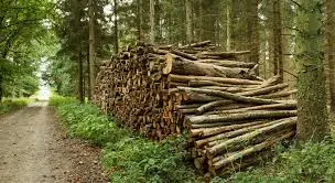 Wood: a valuable resource in New Zealand's economy