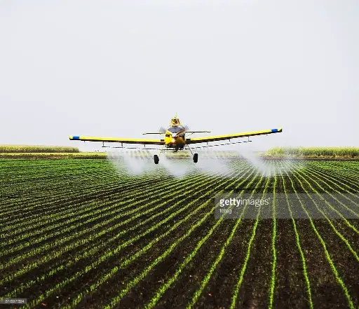 The pesticide-free village