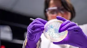 How the Petri Dish Supports Scientific Advances