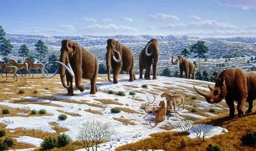 Australia's Megafauna Controversy