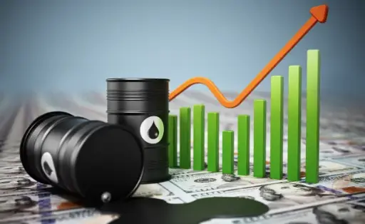 [ Đề Thi Thật ] Increasing Fuel Costs to Solve Environmental Problems