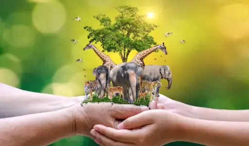 [ Đề Thi Thật ] Preventing Animal Extinction