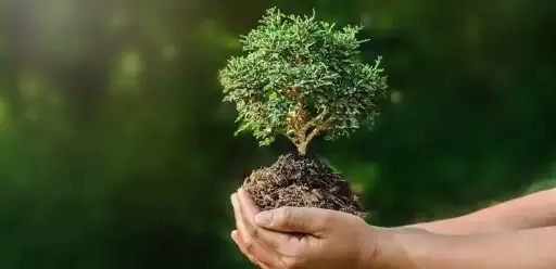[ Đề Thi Thật ] Individual Actions to Protect the Environment