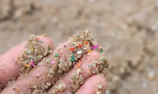 Microplastics