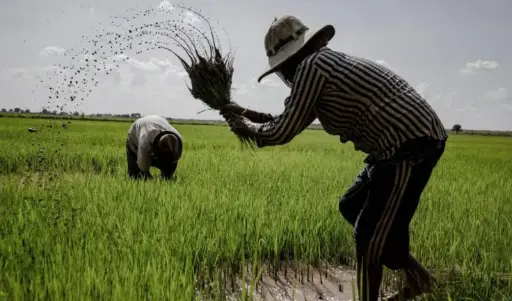 Farmers’ attitudes to new developments in agriculture