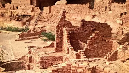 Archaeology Course