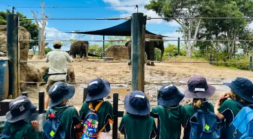 School Excursion 