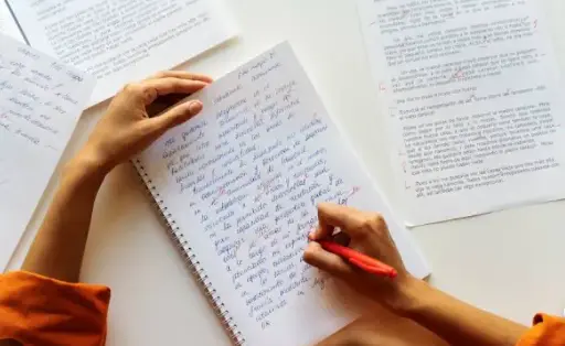 Foundation for Essay Writing 