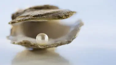 The Pearl 
