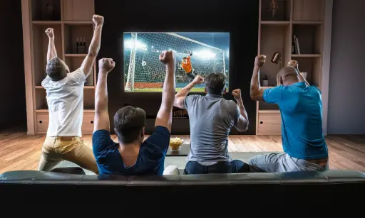 Inside the mind of a fan: How watching sport affects the brain