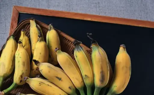Going Bananas