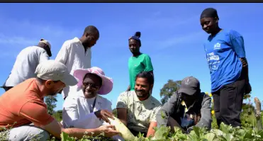 Traditional Farming in Zambia's Luapula Province 