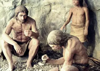 Neanderthal Technology 
