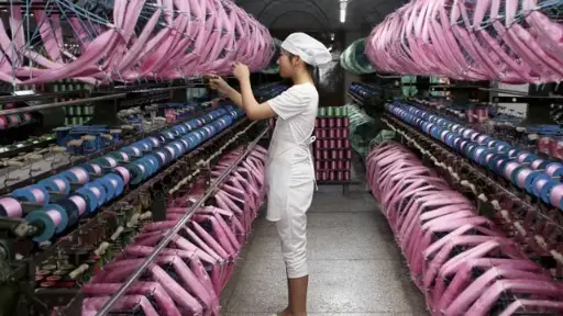 The development of the silk industry