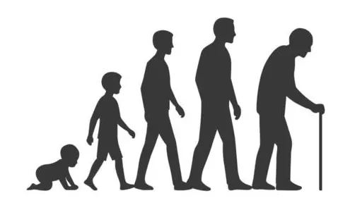 [Topic 6]: Stage of life
