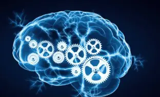 [TOPIC 18]: Intelligence 