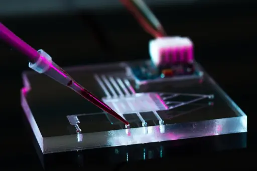 Nanotechnology and Its Applications